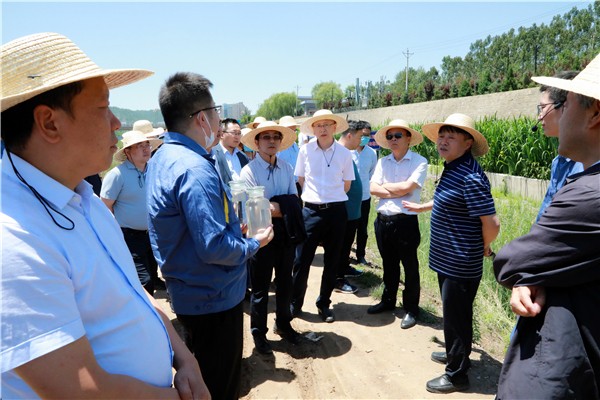 陜西環(huán)保集團復工復產(chǎn)促增長項目觀摩會議與會人員走進環(huán)保保隆生態(tài)三秦在延在銅項目